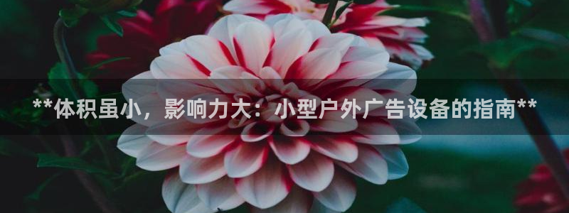 杏宇平台代理怎么赚钱的：**体积虽小，影响力大：小型户外广告设备的指南**