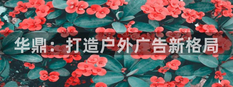杏宇平台代理怎么赚钱快
