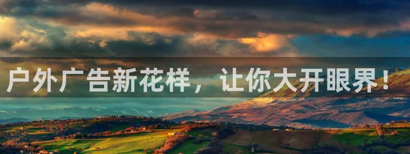 杏宇官方平台官网入口