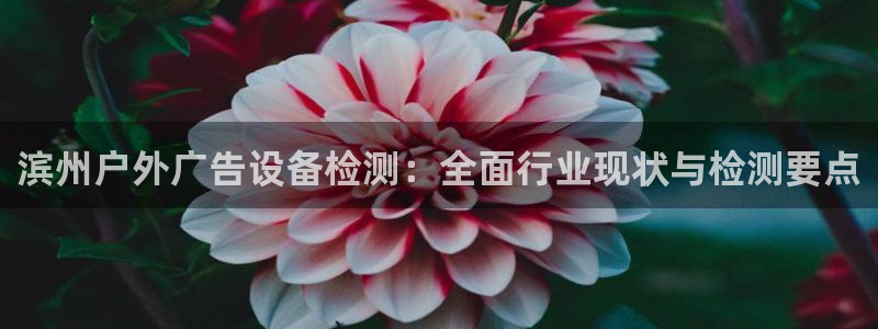 杏宇平台登录方法