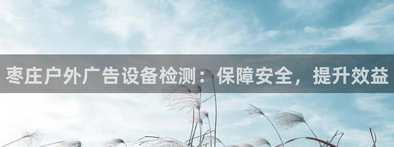 杏宇平台官网注册：枣庄户外广告设备检测：保障安全，提升效益