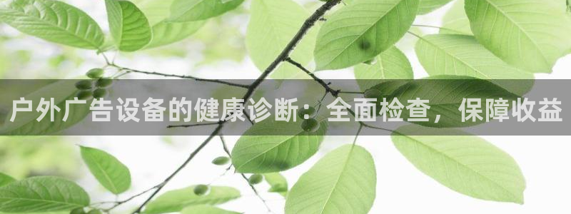 杏宇官方平台官网入口