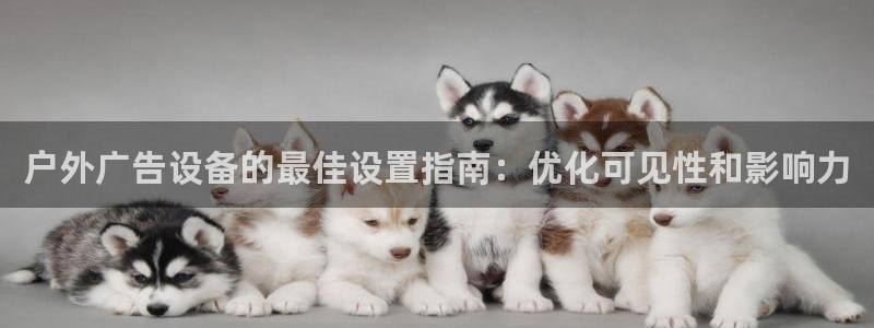 杏宇平台总代理