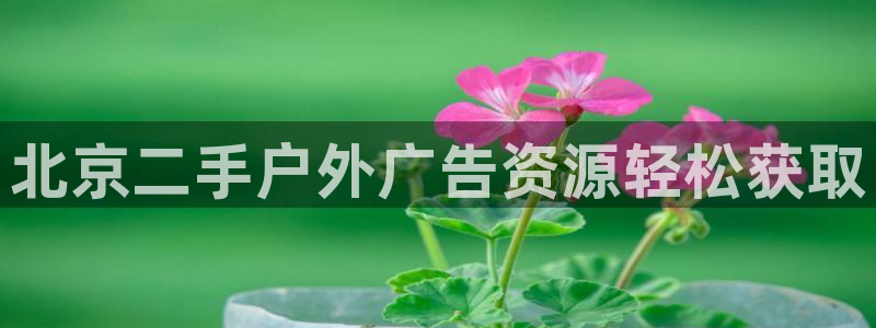 杏宇平台好吗