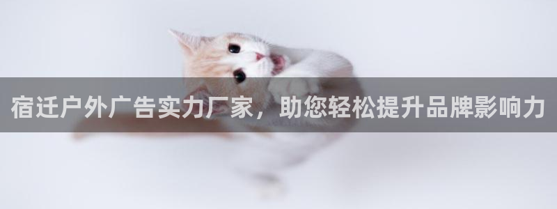 杏宇平台客服