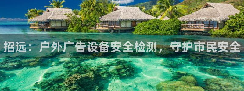 杏宇平台怎么样赚钱