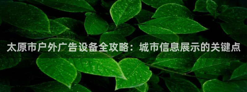 杏宇平台主管