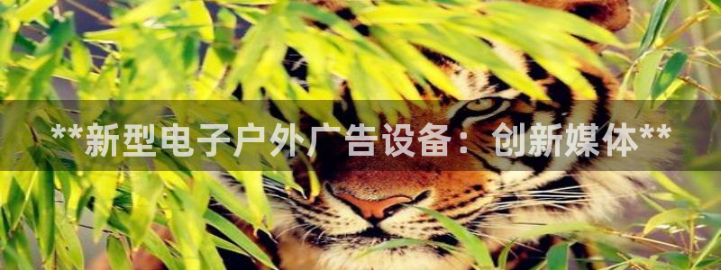 杏宇平台怎么样知乎