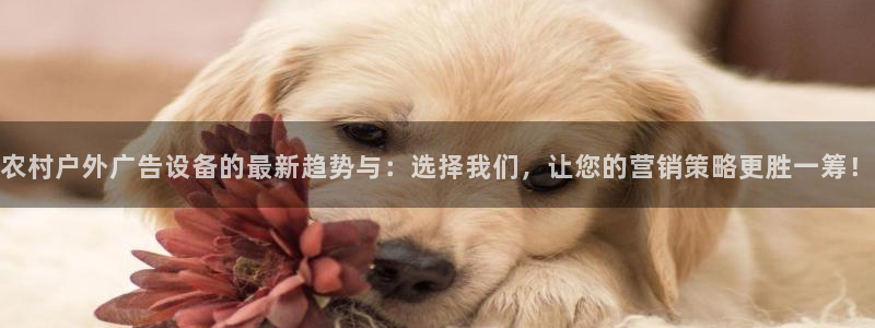 杏宇平台总代理是谁：农村户外广告设备的最新趋势与：选择我们，让您的营销策略更胜一筹！