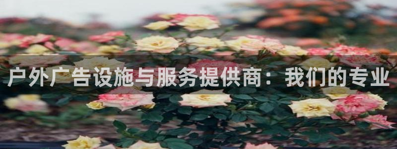 杏宇平台招商电话号码