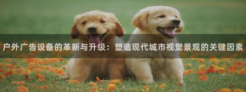 杏宇代理注册：户外广告设备的革新与升级：塑造现代城市视觉景观的关键因素
