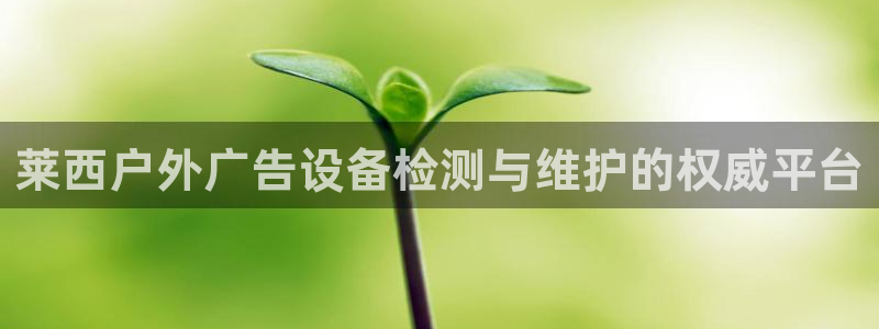 杏宇平台代理多少钱一个月：莱西户外广告设备检测与维护的权威平台