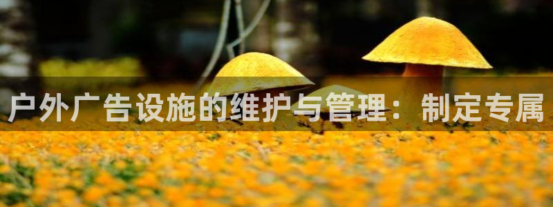 杏宇平台登录方法：户外广告设施的维护与管理：制定专属