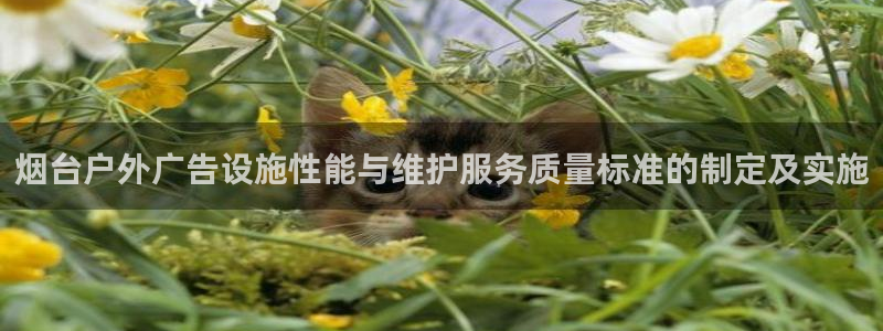 杏宇平台招商怎么样：烟台户外广告设施性能
