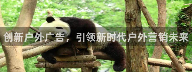 杏宇平台招商：创新户外广告，引领新时代户