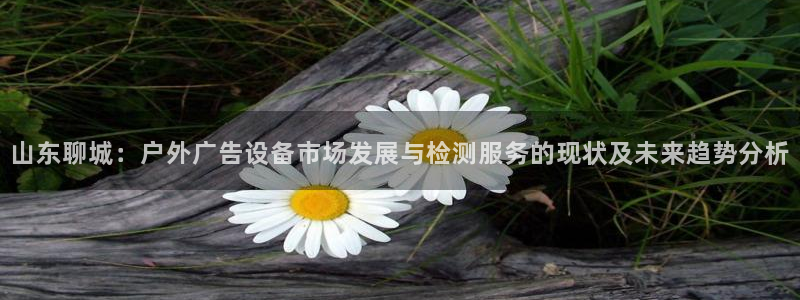 杏宇平台代理多少钱一次：山东聊城：户外广