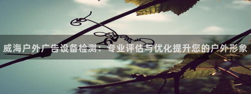 杏宇平台代理怎么样赚钱：威海户外广告设备检测：专业评估与优化提升您的户外形象