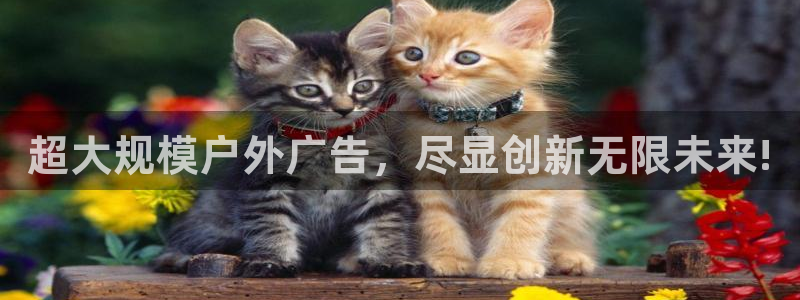 杏宇平台登录步骤图：超大规模户外广告，尽显创新无限未来!