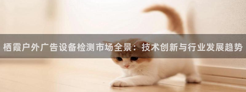 杏宇平台代理多少钱一个月：栖霞户外广告设备检测市场全景：技术创新与行业发展趋势