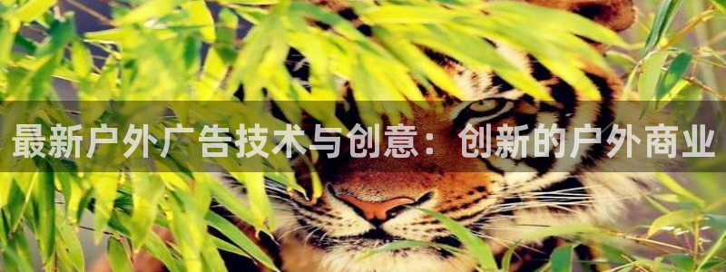 杏宇平台代理多少钱一次：最新户外广告技术