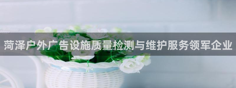 杏宇平台是什么