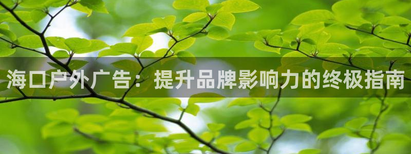 杏宇平台注册登录：海口户外广告：提升品牌影响力的终极指南