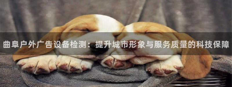 杏宇平台代理怎么样啊