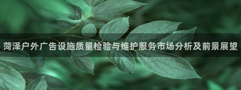 杏宇平台注册地址在哪里：菏泽户外广告设施质量检验与维护服务市场分析及前景展望