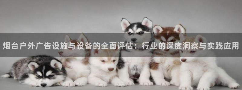 杏宇平台好吗：烟台户外广告设施与设备的全面评估：行业的深度洞察与实践应用