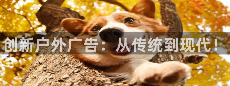 杏宇平台代理怎么赚钱：创新户外广告：从传