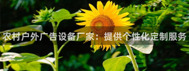 杏宇平台招商：农村户外广告设备厂家：提供个性化定制服务