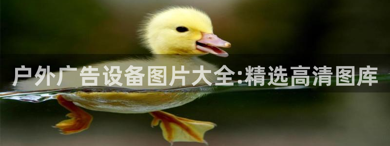 杏宇平台官网注册：户外广告设备图片大全:精选高清图库