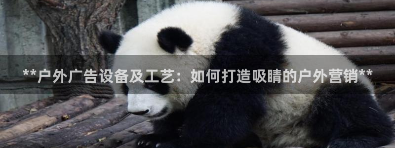 杏宇平台注册登录