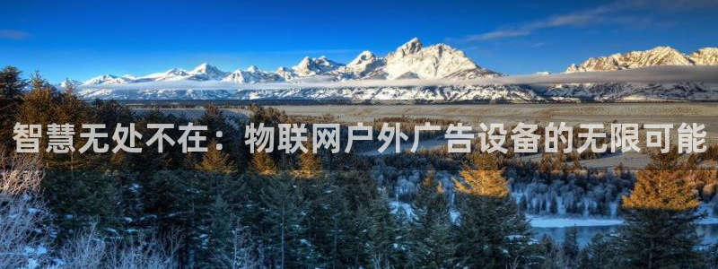 杏宇平台好吗：智慧无处不在：物联网户外广告设备的无限可能