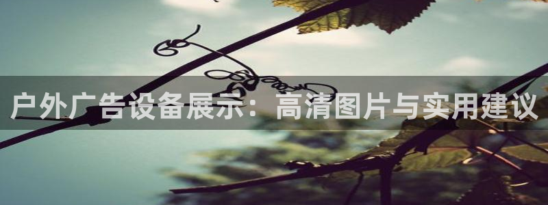 杏宇平台登录步骤是什么：户外广告设备展示